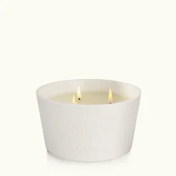 Eucalyptus Statement 3-Wick Candle