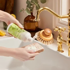 Eucalyptus Surface Scrub