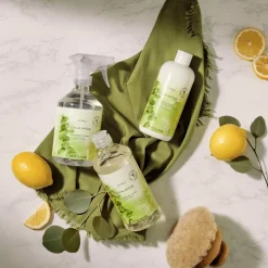 Eucalyptus Surface Scrub
