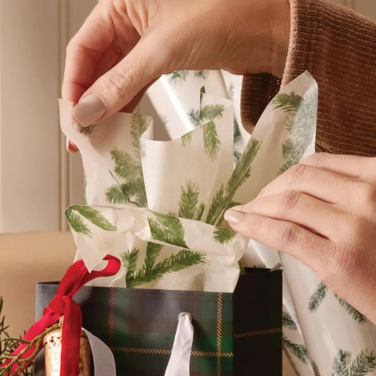Frasier Fir Fragranced Tissue Paper