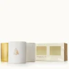 Frasier Fir Gilded Poured Candle Trio Set