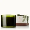Frasier Fir Green 3-Wick Candle