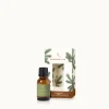 Frasier Fir Laundry Fragrance Oil