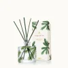 Frasier Fir Petite Pine Needle Reed Diffuser