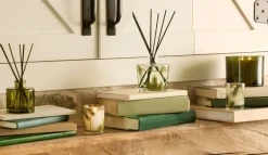 Frasier Fir Pine Needle Reed Diffuser