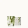 Frasier Fir Pine Needle Votive Candle