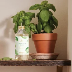 Fresh-Cut Basil Reed Diffuser Oil Refill