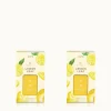 Lemon Leaf Pura Diffuser Refill 2-Pack Bundle