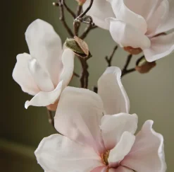 Magnolia Willow Hand Wash Refill