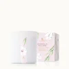 Magnolia Willow Poured Candle