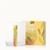 Olive Leaf Candle
