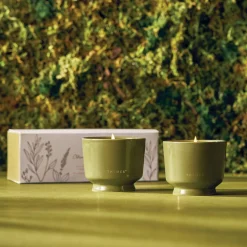 Outdoor Oasis Citronella Grove Aromatic Candle Set