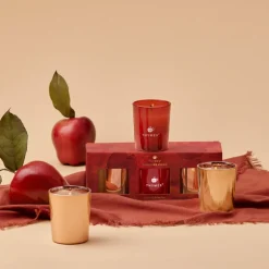 Simmered Cider Aromatic Votive Trio