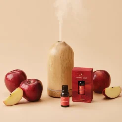 Simmered Cider Electric Diffuser Oil